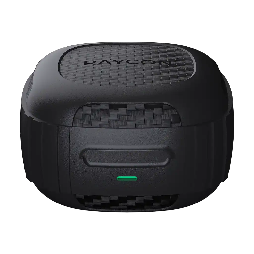 rayconaudious.it.com