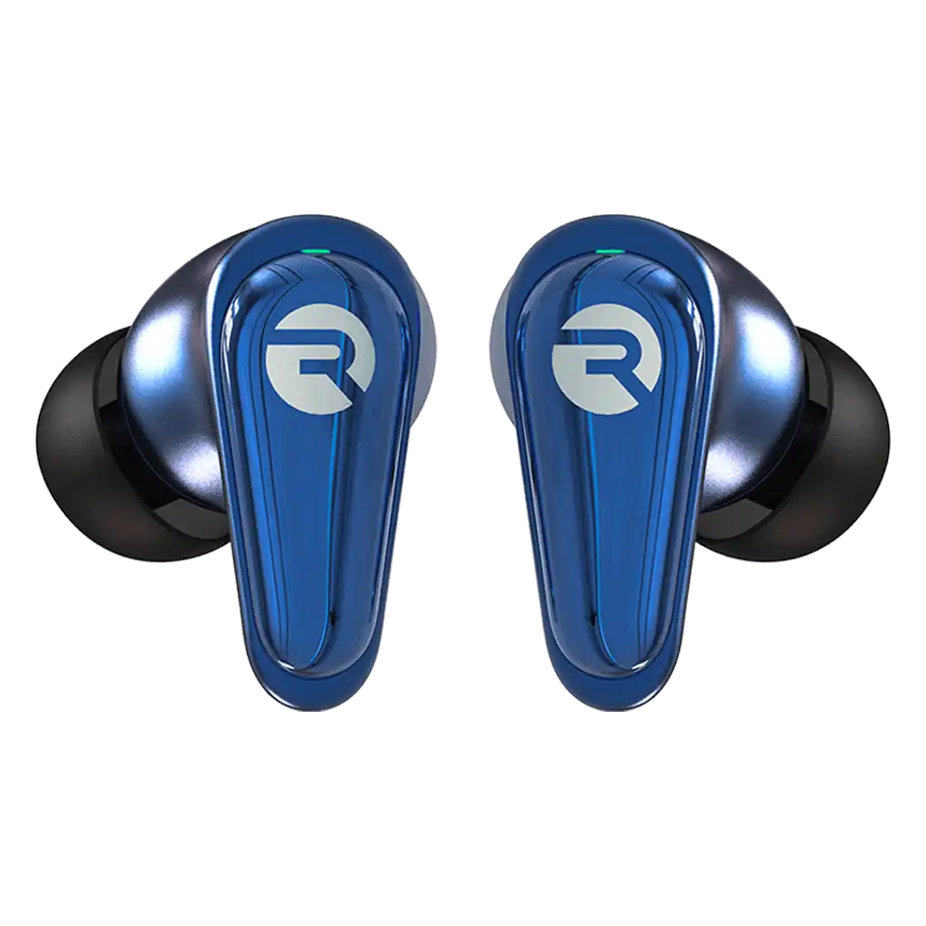 rayconaudious.it.com