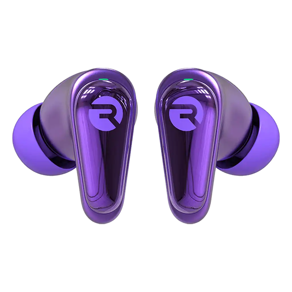 rayconaudious.it.com