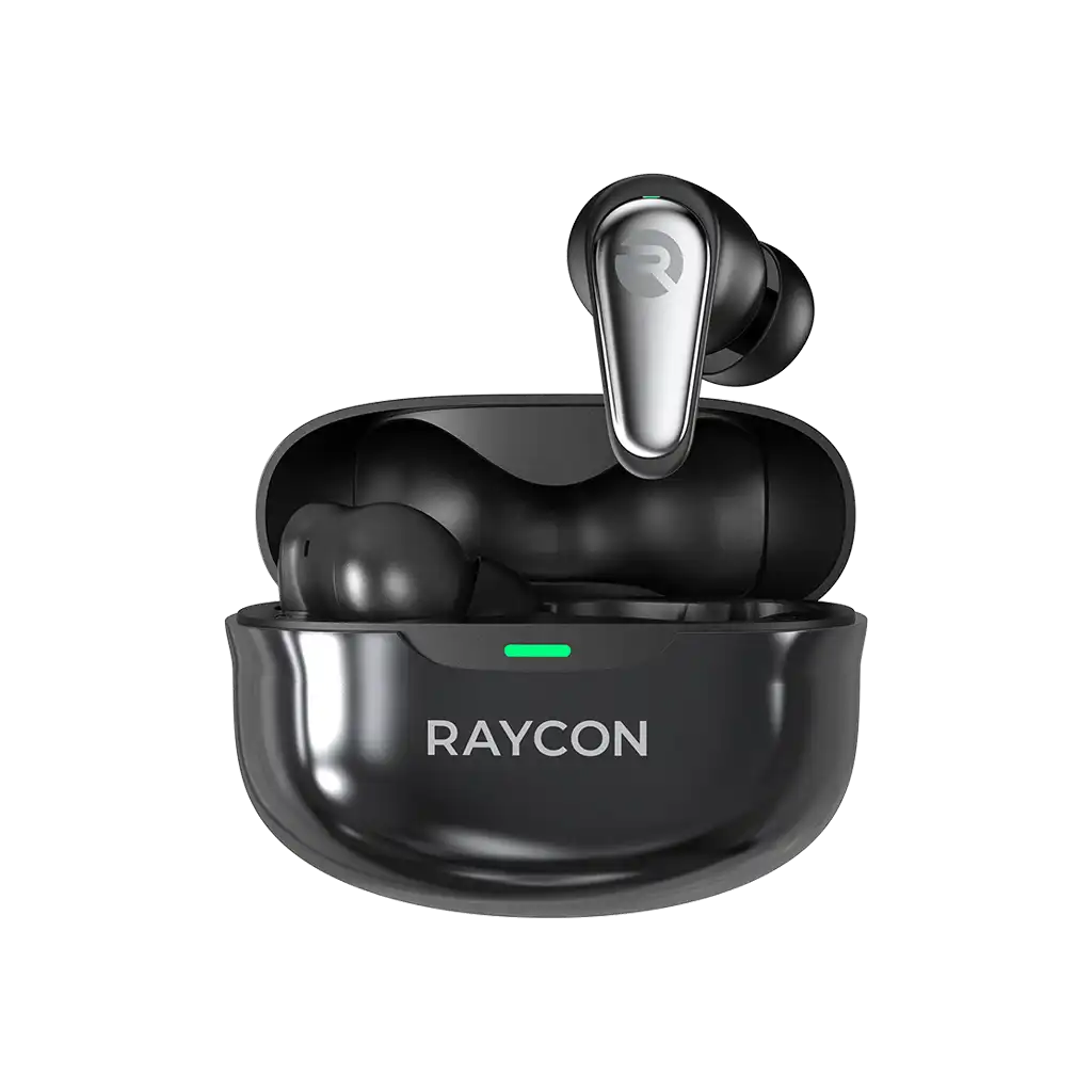 rayconaudious.it.com