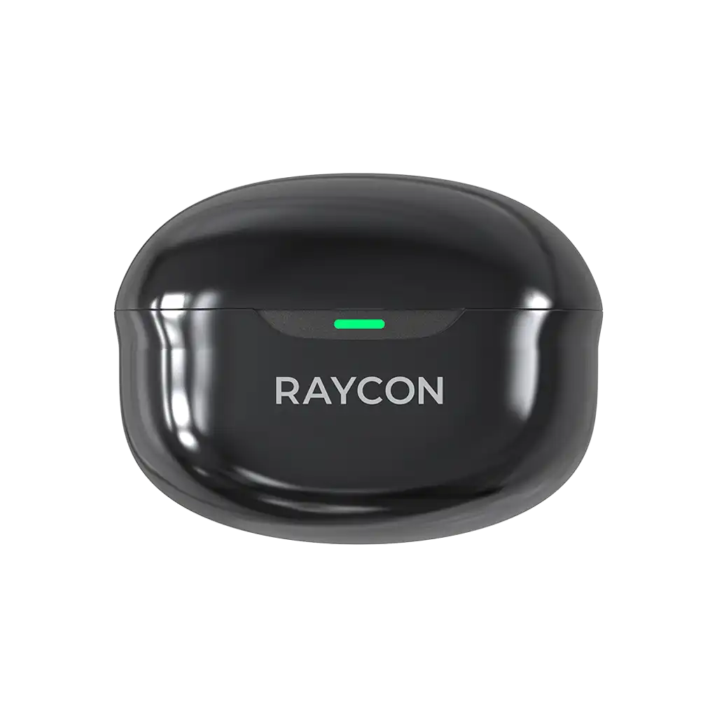 rayconaudious.it.com