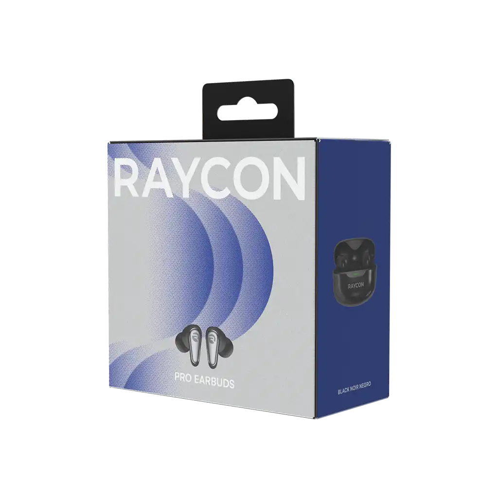 rayconaudious.it.com