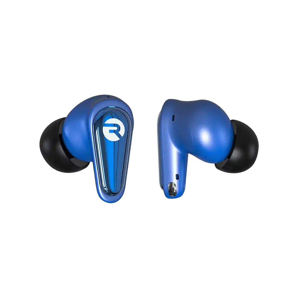 rayconaudious.it.com