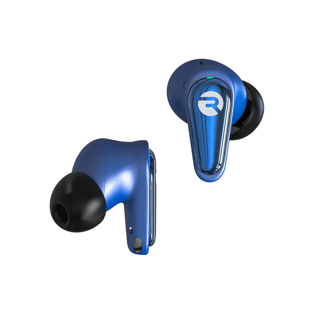 rayconaudious.it.com