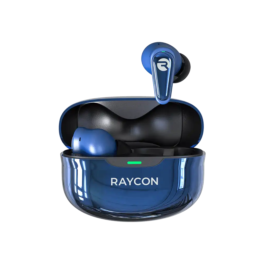 rayconaudious.it.com