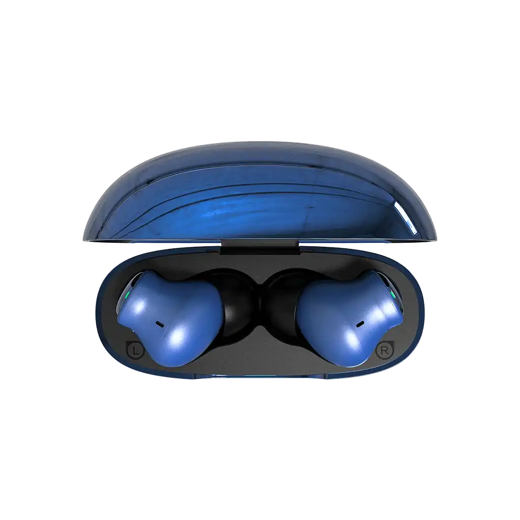 rayconaudious.it.com