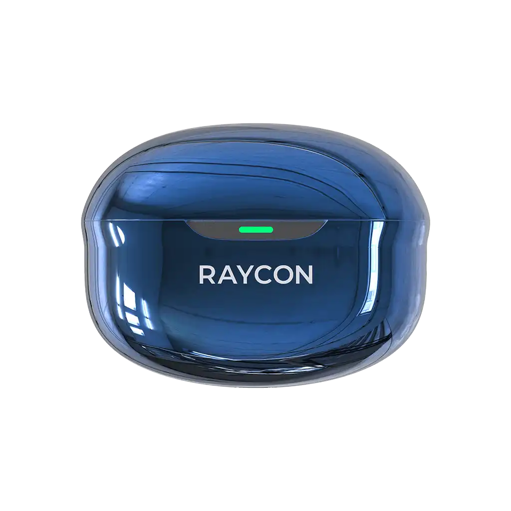 rayconaudious.it.com