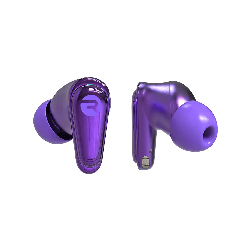 rayconaudious.it.com