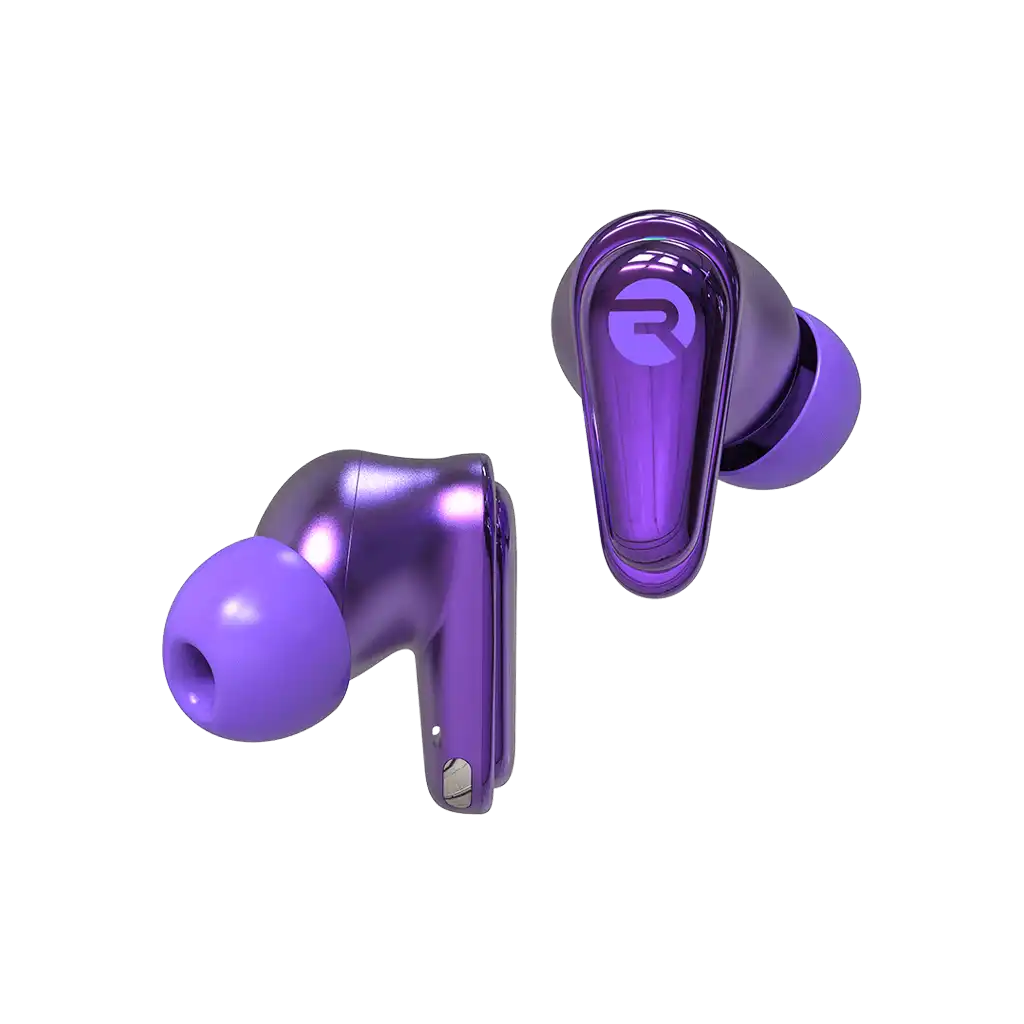 rayconaudious.it.com