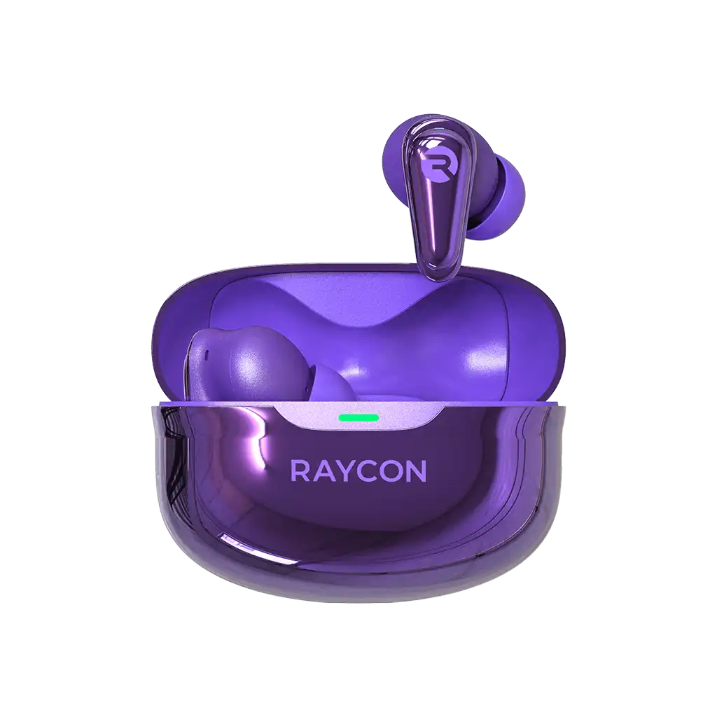 rayconaudious.it.com