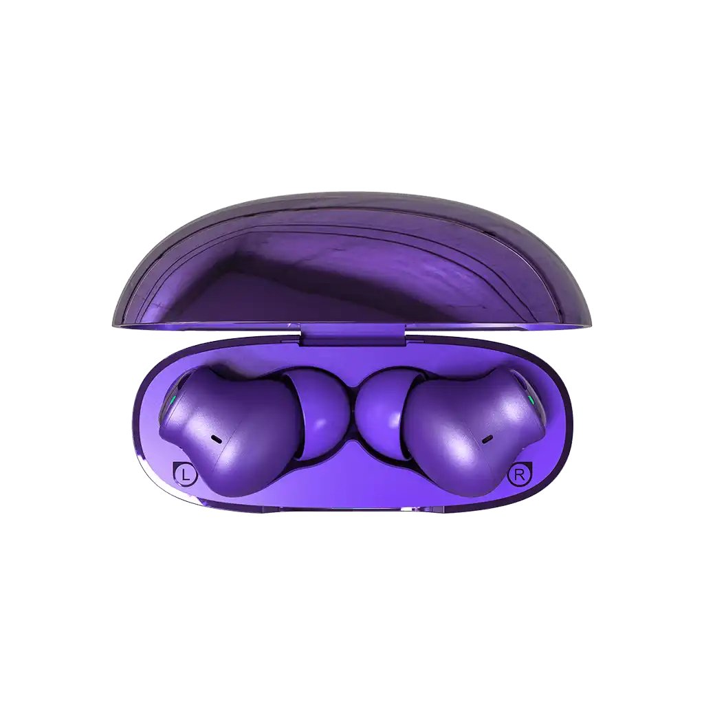 rayconaudious.it.com