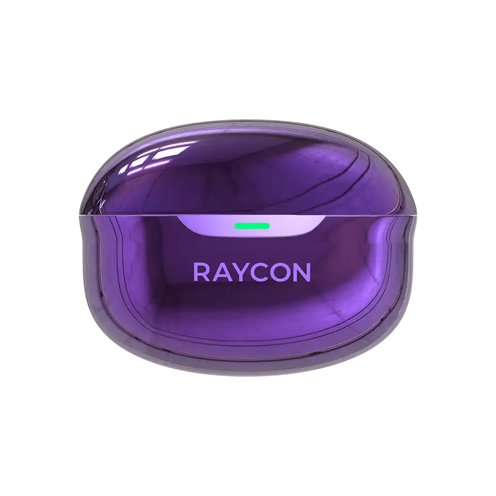 rayconaudious.it.com