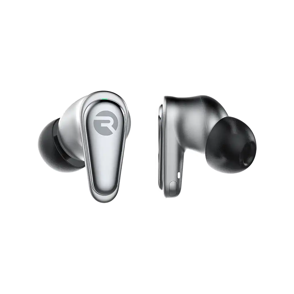rayconaudious.it.com