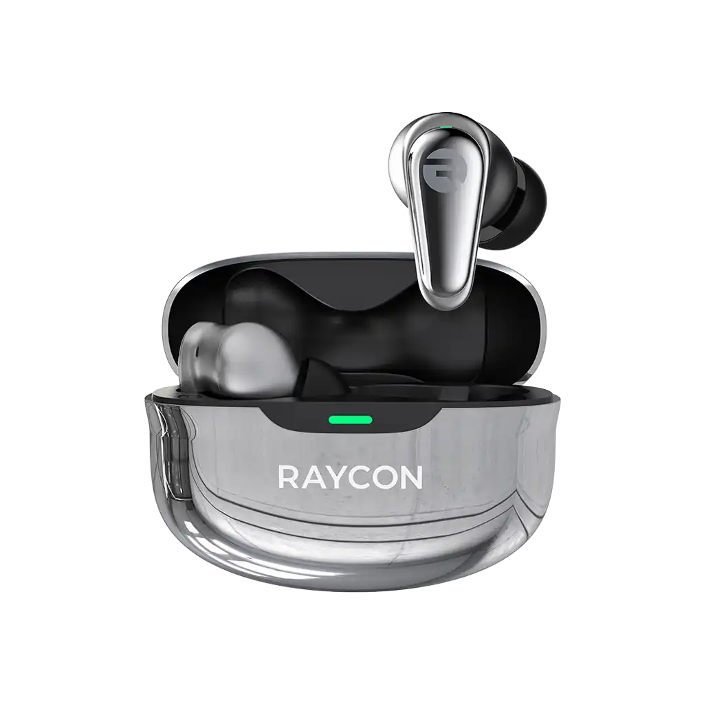 rayconaudious.it.com