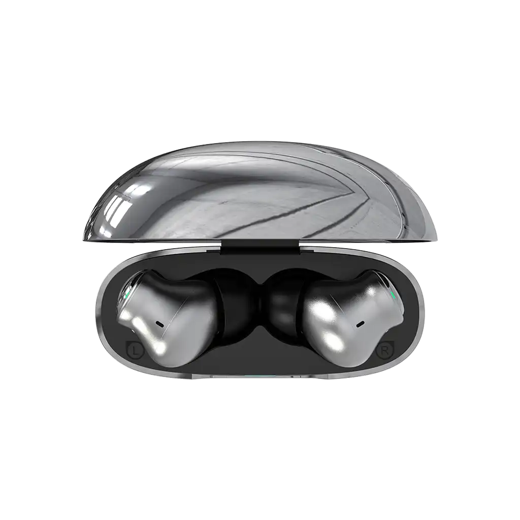 rayconaudious.it.com