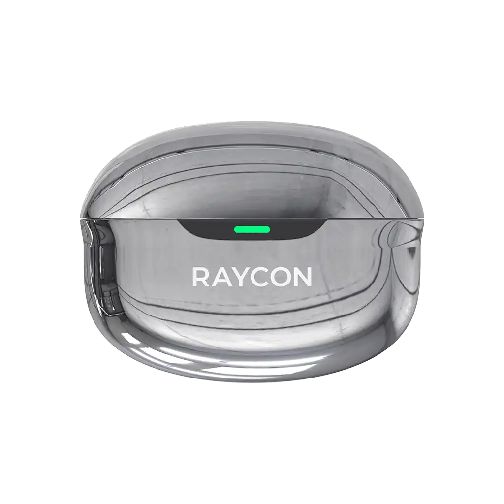 rayconaudious.it.com