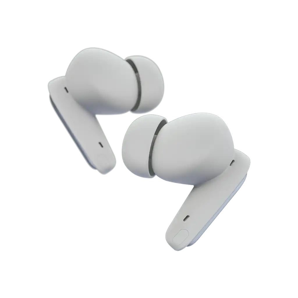 rayconaudious.it.com