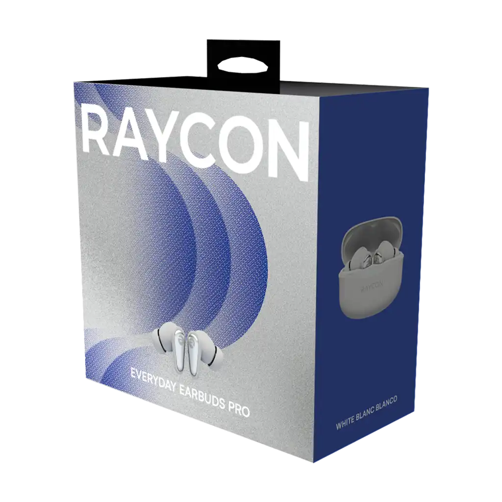 rayconaudious.it.com