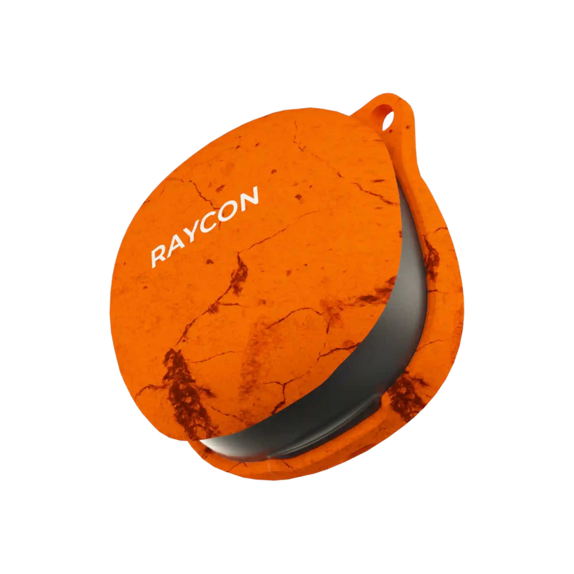 rayconaudious.it.com