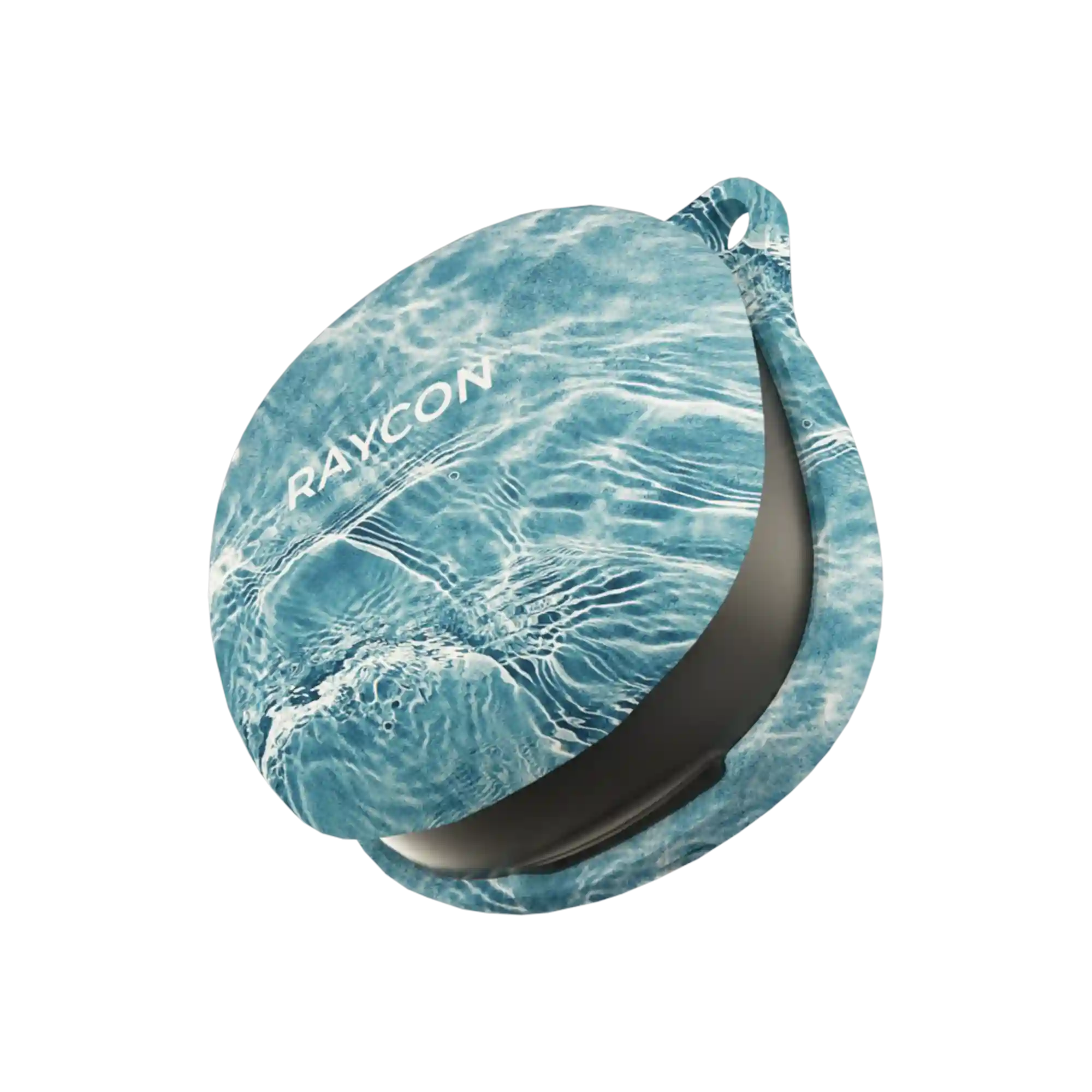 rayconaudious.it.com