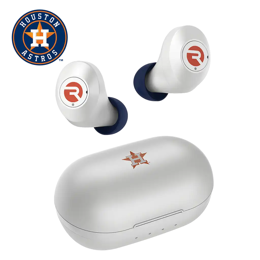rayconaudious.it.com