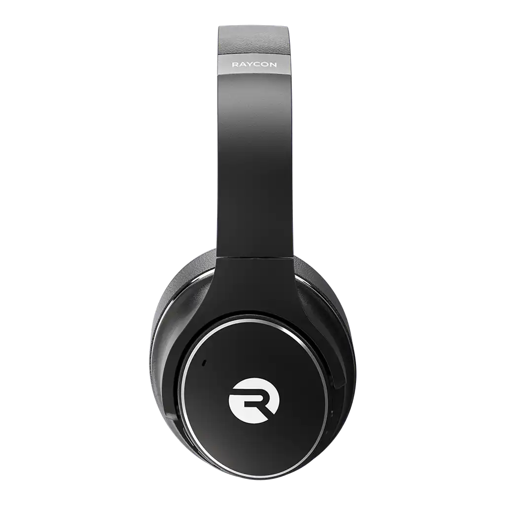 rayconaudious.it.com