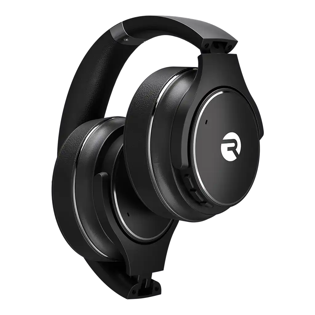 rayconaudious.it.com