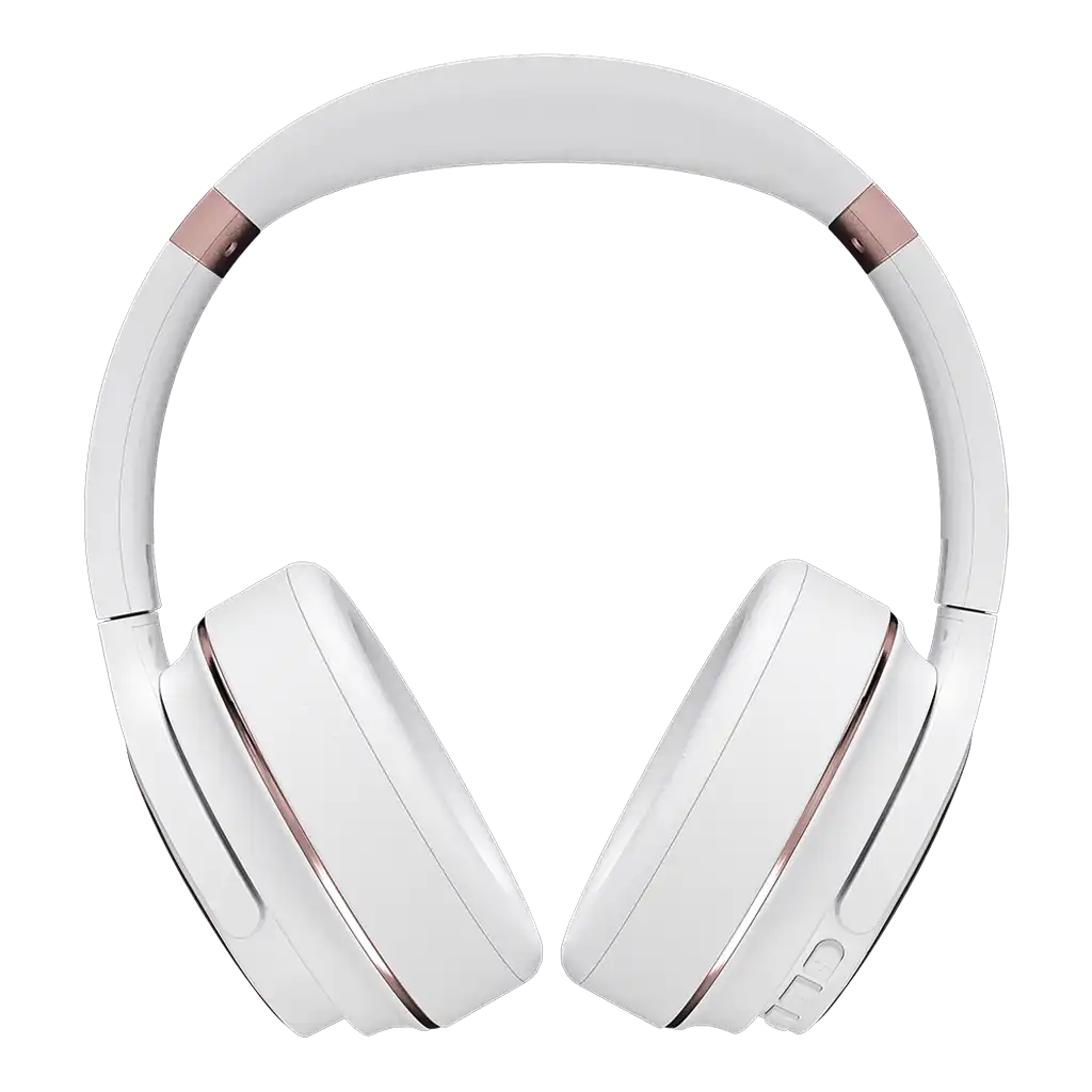 rayconaudious.it.com