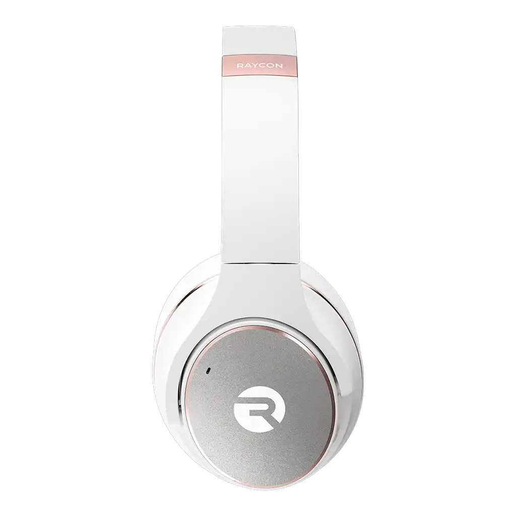 rayconaudious.it.com