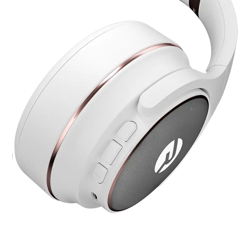 rayconaudious.it.com