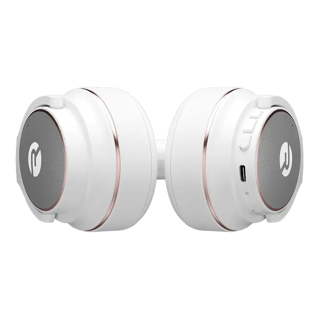 rayconaudious.it.com