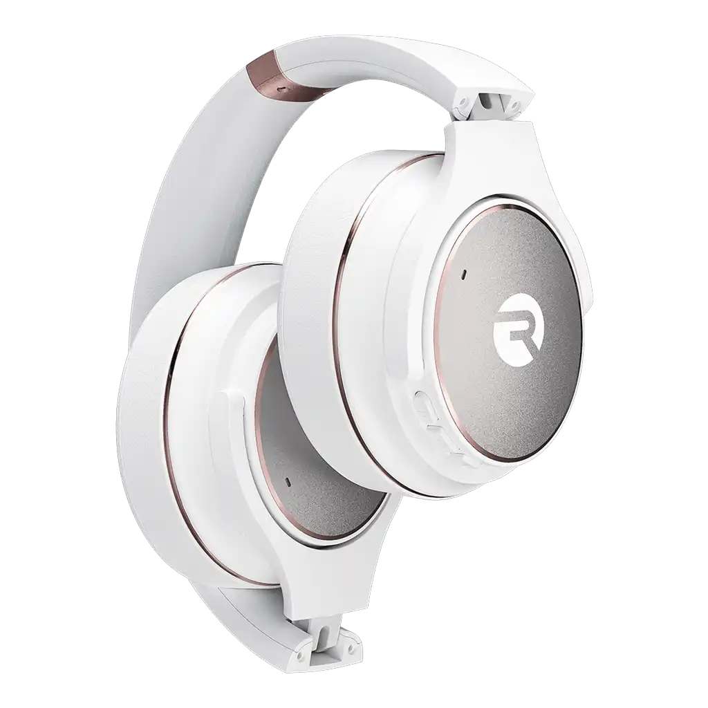 rayconaudious.it.com