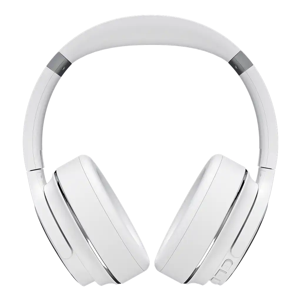 rayconaudious.it.com