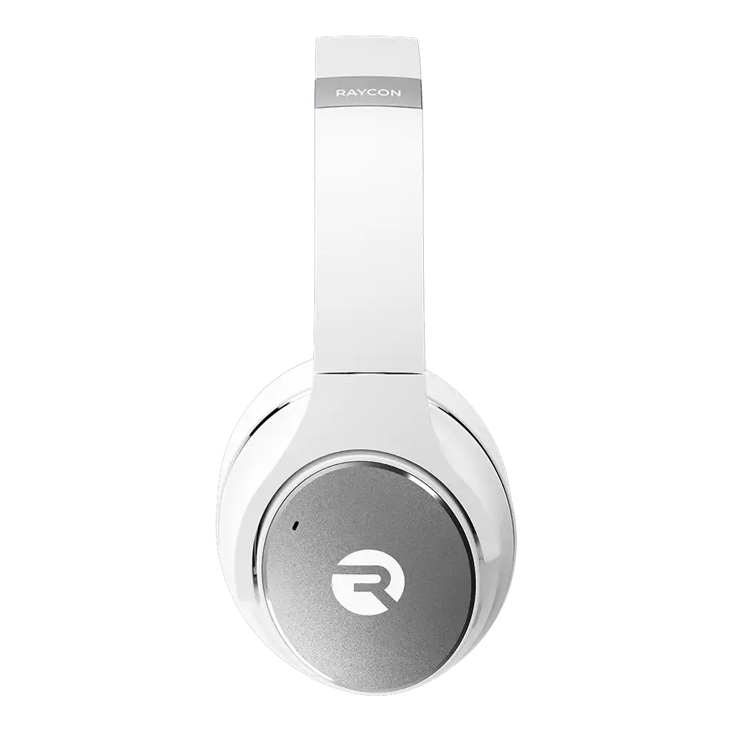 rayconaudious.it.com