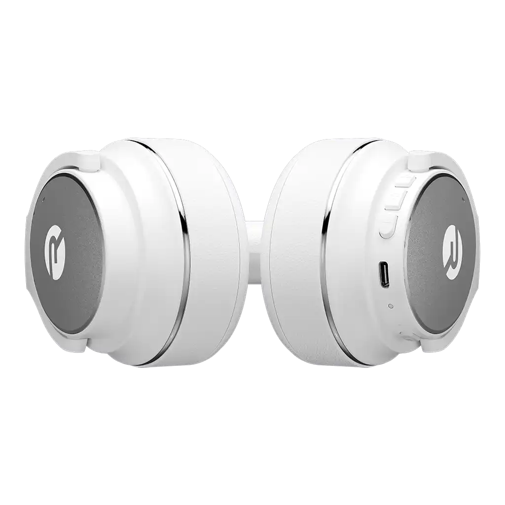 rayconaudious.it.com