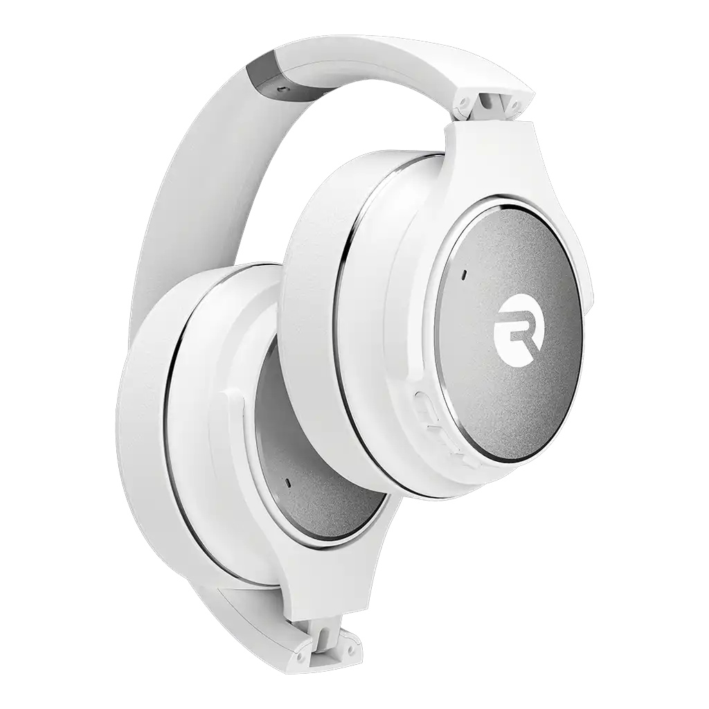 rayconaudious.it.com