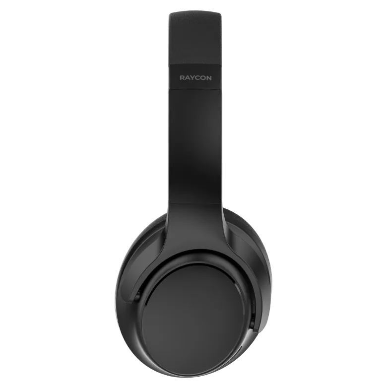 rayconaudious.it.com