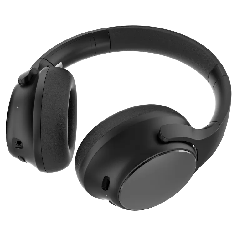 rayconaudious.it.com