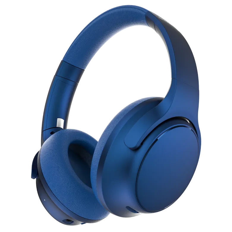 rayconaudious.it.com