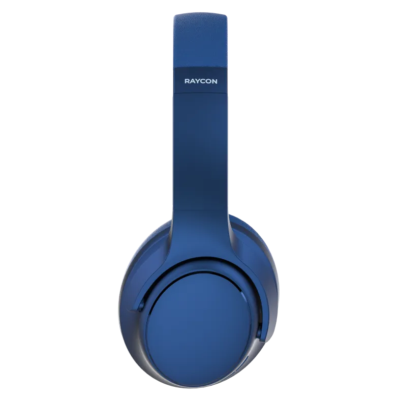 rayconaudious.it.com