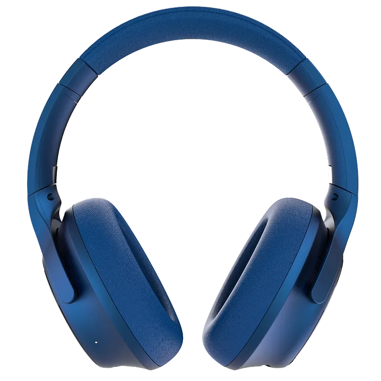 rayconaudious.it.com