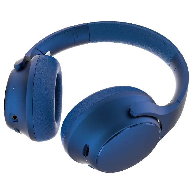rayconaudious.it.com