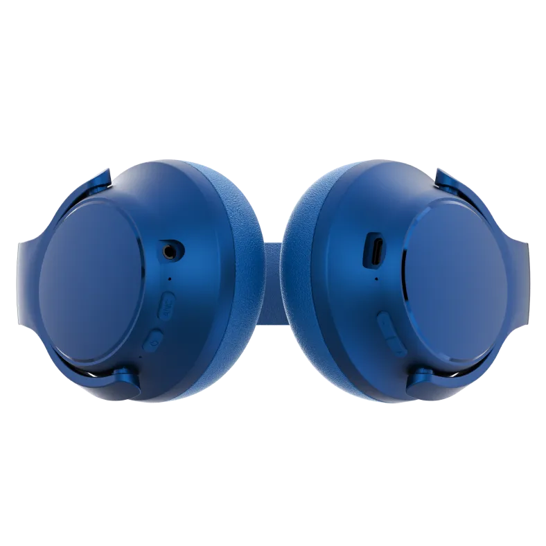 rayconaudious.it.com