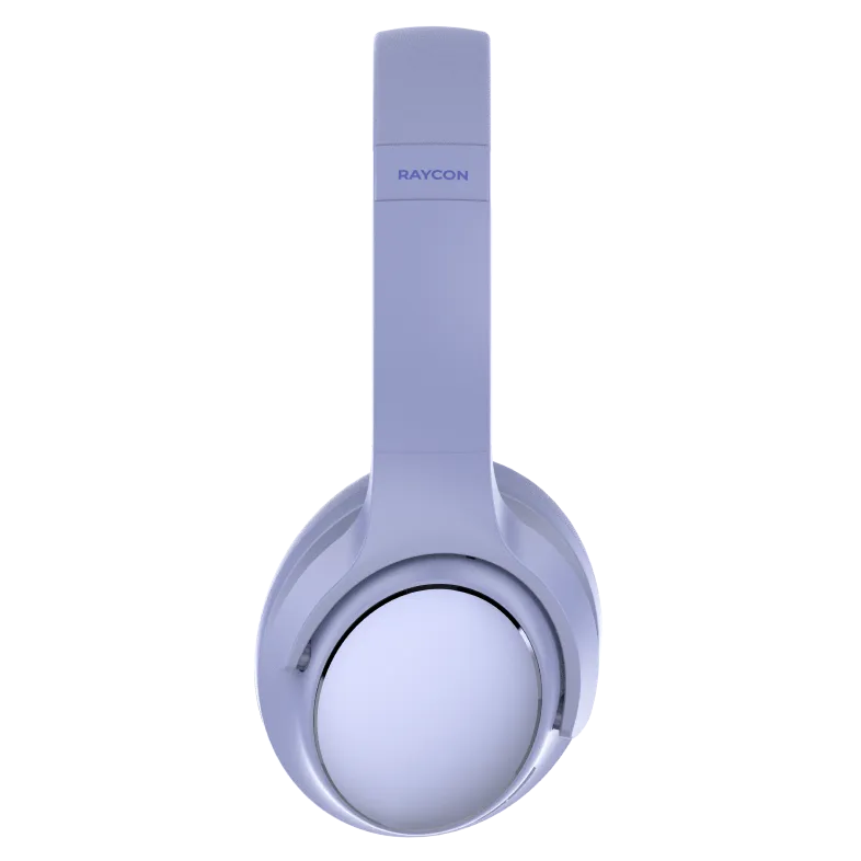 rayconaudious.it.com