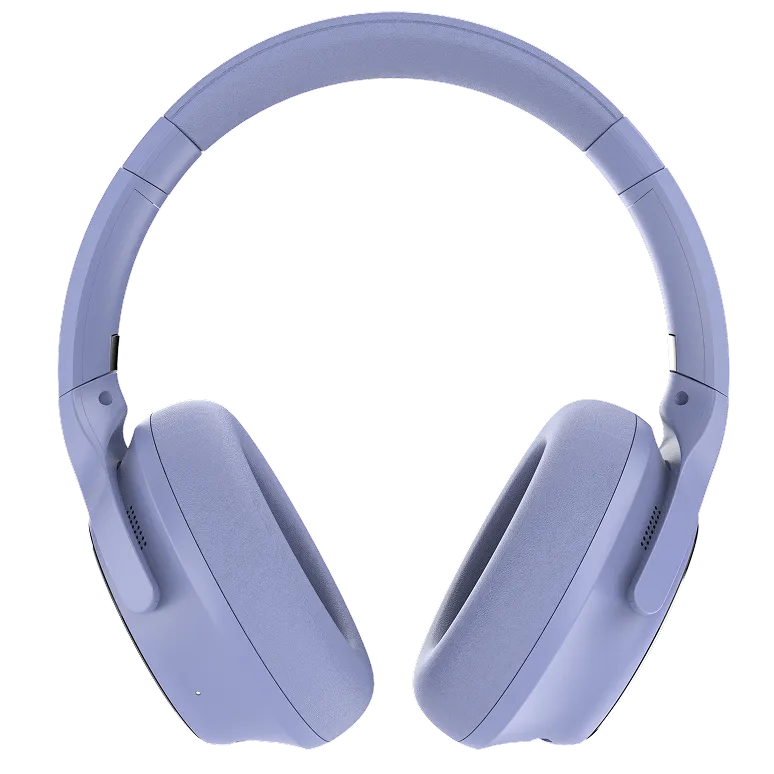 rayconaudious.it.com