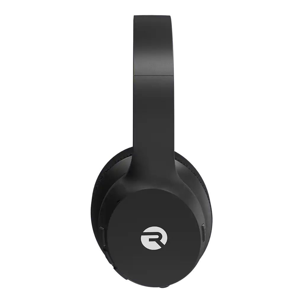 rayconaudious.it.com