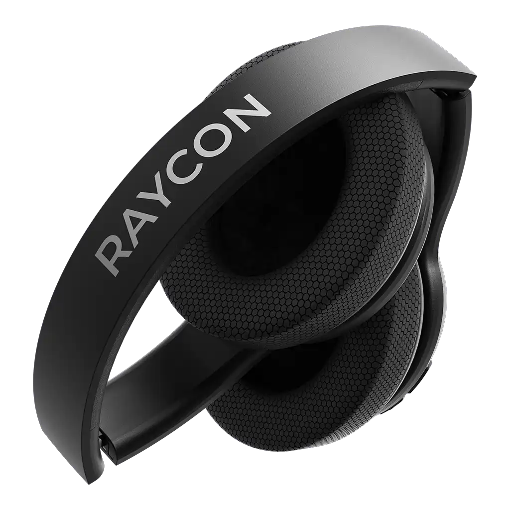 rayconaudious.it.com
