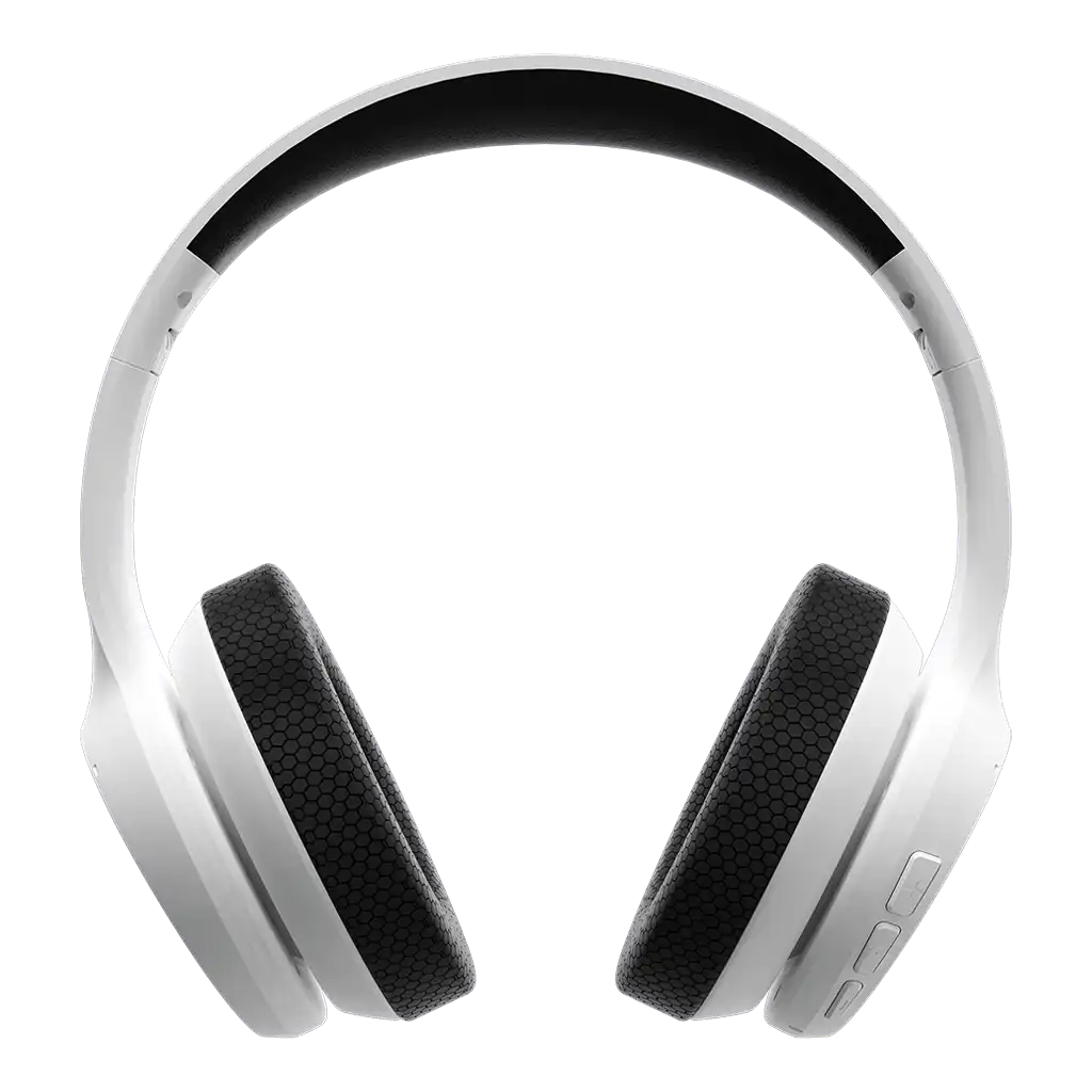 rayconaudious.it.com
