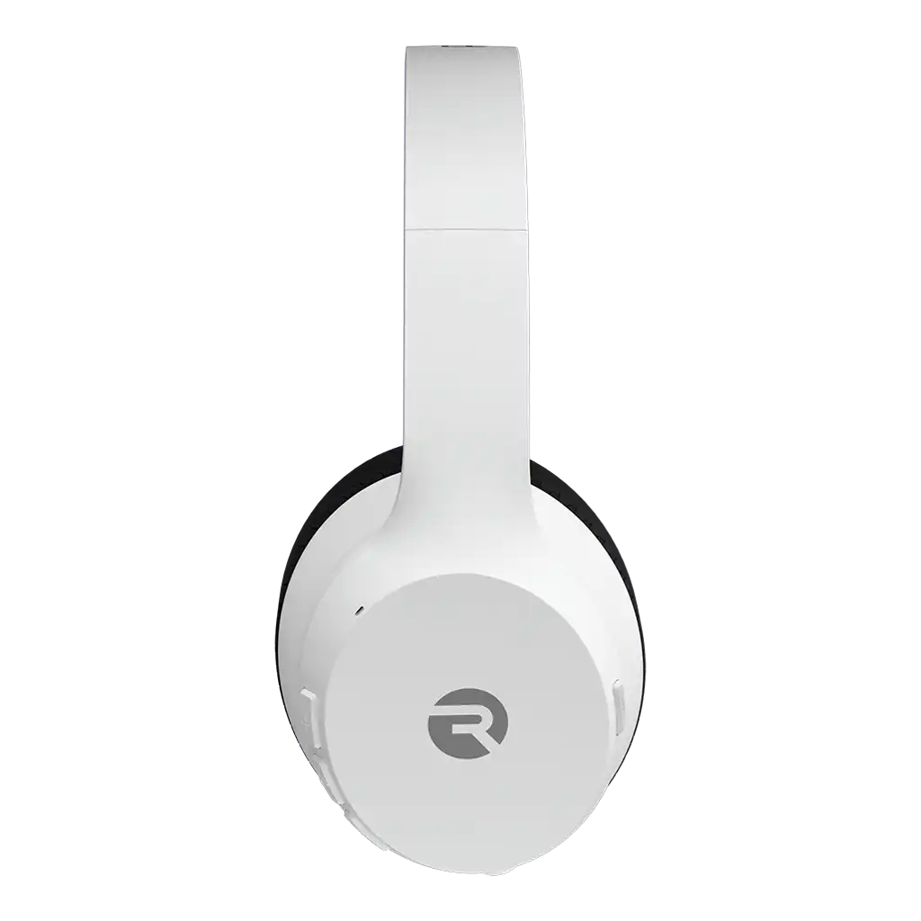rayconaudious.it.com