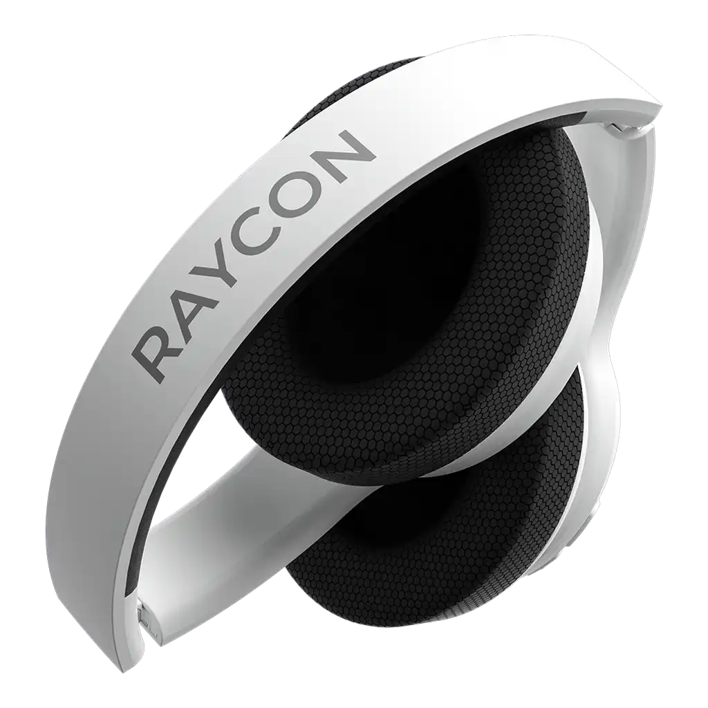 rayconaudious.it.com